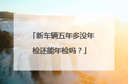 新车辆五年多没年检还能年检吗？