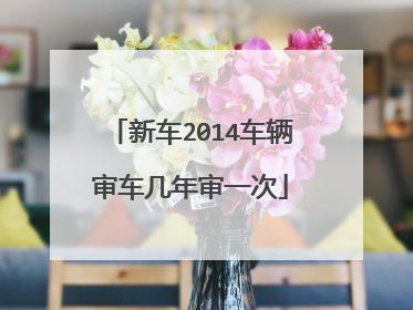 新车2014车辆审车几年审一次