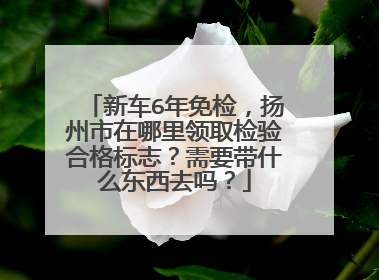 新车6年免检，扬州市在哪里领取检验合格标志？需要带什么东西去吗？