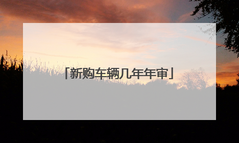 新购车辆几年年审