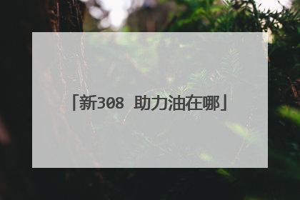 新308 助力油在哪