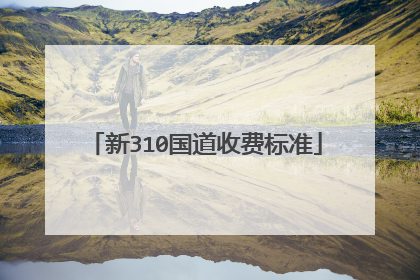 新310国道收费标准