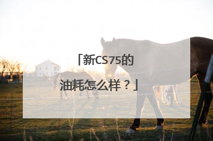 新CS75的油耗怎么样？
