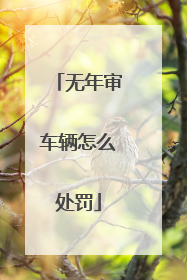 无年审车辆怎么处罚