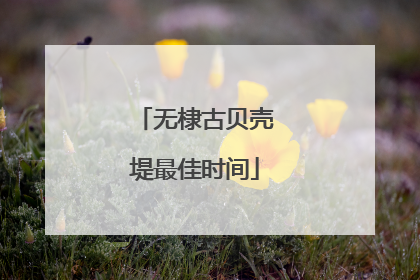 无棣古贝壳堤最佳时间