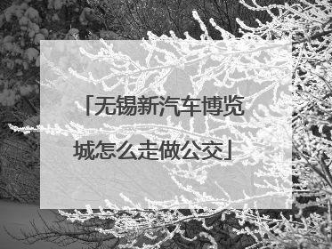 无锡新汽车博览城怎么走做公交