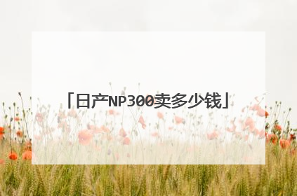 日产NP300卖多少钱