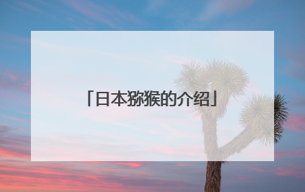 日本猕猴的介绍