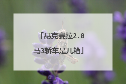 昂克赛拉2.0马3轿车是几箱