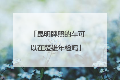 昆明牌照的车可以在楚雄年检吗
