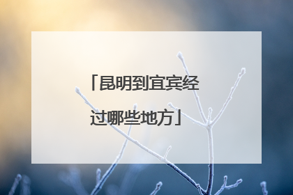 昆明到宜宾经过哪些地方