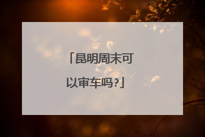 昆明周末可以审车吗?