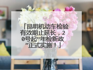 昆明机动车检验有效期止延长，20号起“年检新政”正式实施！