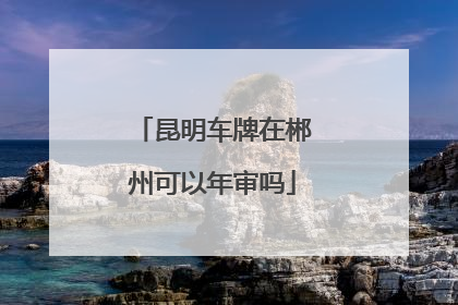 昆明车牌在郴州可以年审吗