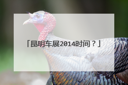 昆明车展2014时间？