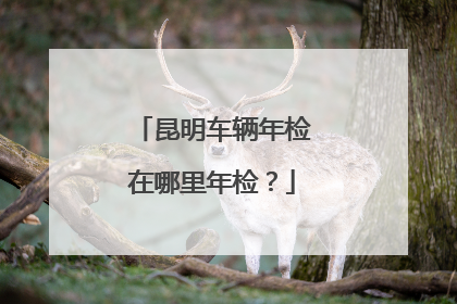 昆明车辆年检在哪里年检？