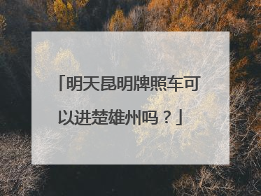明天昆明牌照车可以进楚雄州吗？