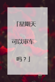 星期天可以审车吗？