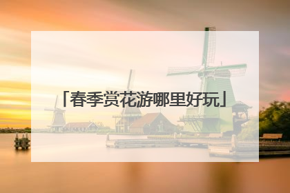 春季赏花游哪里好玩