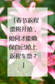 春节返程票将开抢，如何才能确保自己抢上返程车票？