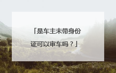 是车主未带身份证可以审车吗？