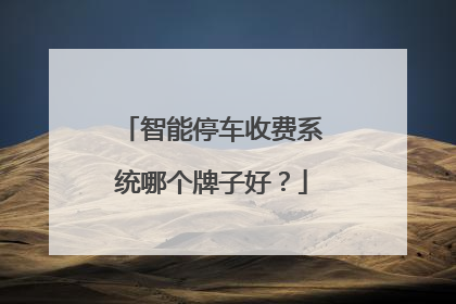 智能停车收费系统哪个牌子好？