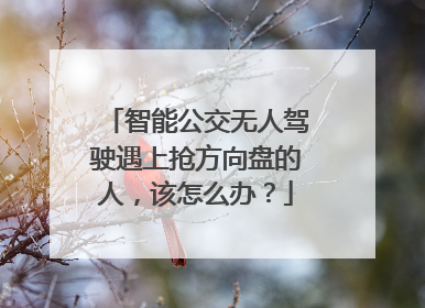 智能公交无人驾驶遇上抢方向盘的人，该怎么办？
