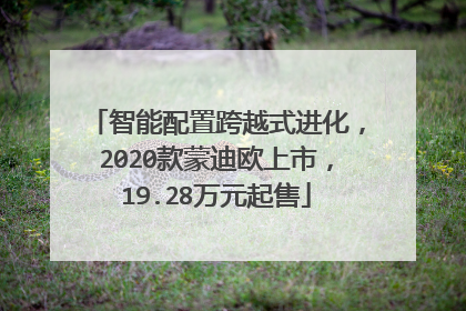 智能配置跨越式进化，2020款蒙迪欧上市，19.28万元起售