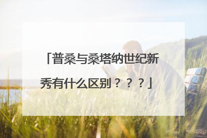 普桑与桑塔纳世纪新秀有什么区别？？？