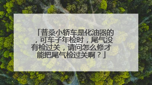 普桑小轿车是化油器的，可车子年检时，尾气没有检过关，请问怎么修才能把尾气检过关啊？