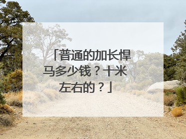 普通的加长悍马多少钱？十米左右的？