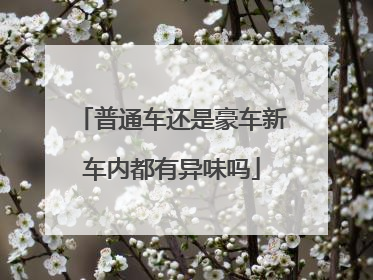 普通车还是豪车新车内都有异味吗