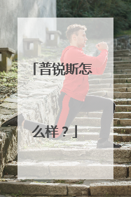 普锐斯怎么样？