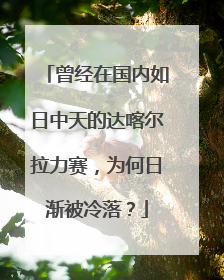曾经在国内如日中天的达喀尔拉力赛，为何日渐被冷落？