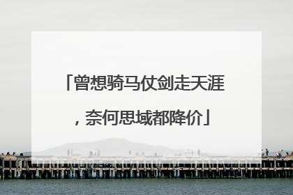 曾想骑马仗剑走天涯，奈何思域都降价