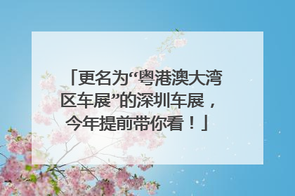 更名为“粤港澳大湾区车展”的深圳车展，今年提前带你看！