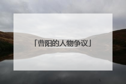 曹阳的人物争议