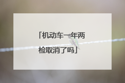 机动车一年两检取消了吗