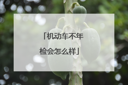 机动车不年检会怎么样