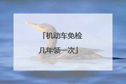 机动车免检几年领一次