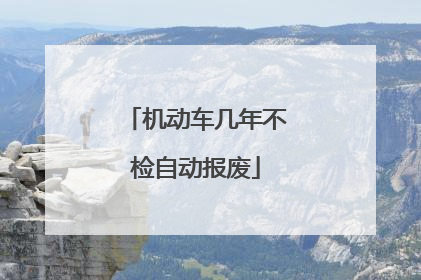 机动车几年不检自动报废