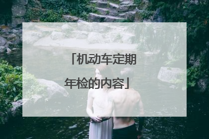 机动车定期年检的内容