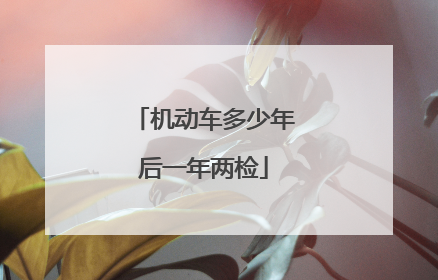 机动车多少年后一年两检