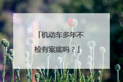 机动车多年不检有案底吗？