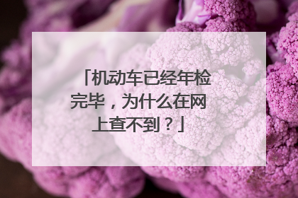 机动车已经年检完毕，为什么在网上查不到？