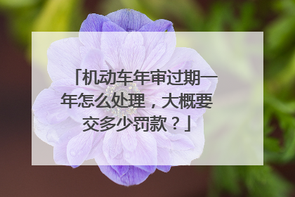 机动车年审过期一年怎么处理，大概要交多少罚款？