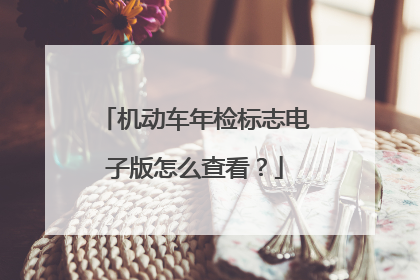 机动车年检标志电子版怎么查看？