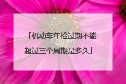机动车年检过期不能超过三个周期是多久