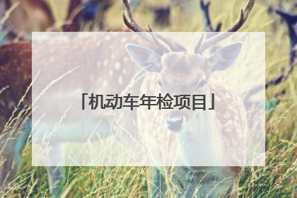 机动车年检项目