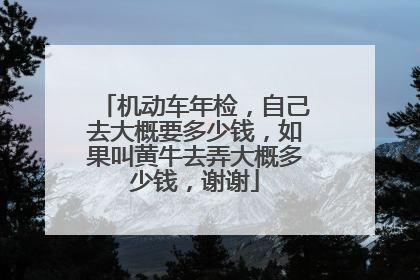 机动车年检，自己去大概要多少钱，如果叫黄牛去弄大概多少钱，谢谢